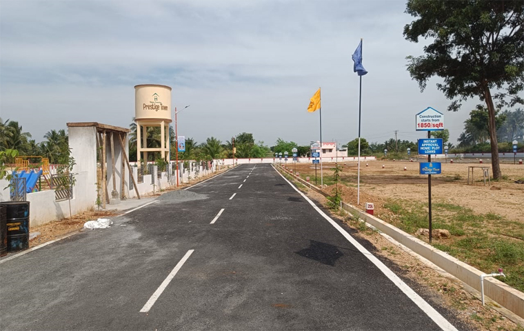 Image-12.jpg
