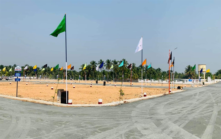 Image-6.jpg